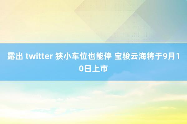 露出 twitter 狭小车位也能停 宝骏云海将于9月10日上市