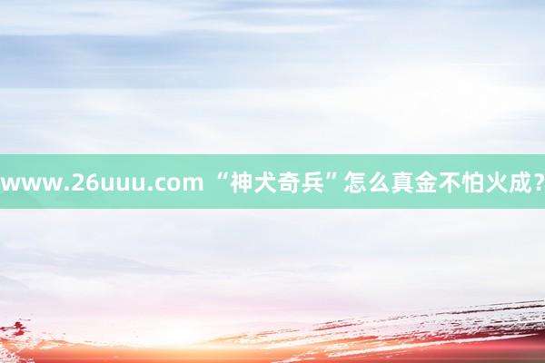 www.26uuu.com “神犬奇兵”怎么真金不怕火成？