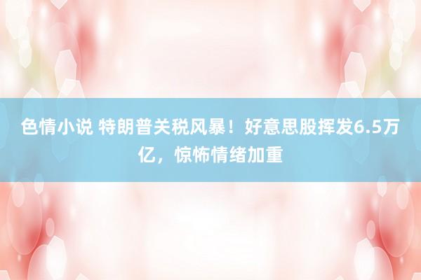 色情小说 特朗普关税风暴！好意思股挥发6.5万亿，惊怖情绪加重