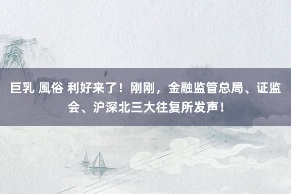 巨乳 風俗 利好来了！刚刚，金融监管总局、证监会、沪深北三大往复所发声！
