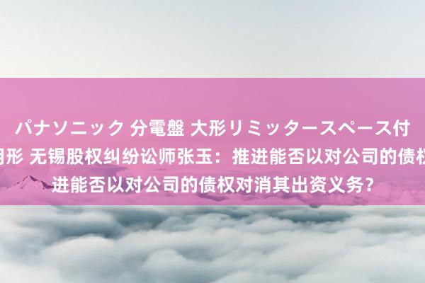 パナソニック 分電盤 大形リミッタースペース付 露出・半埋込両用形 无锡股权纠纷讼师张玉：推进能否以对公司的债权对消其出资义务？