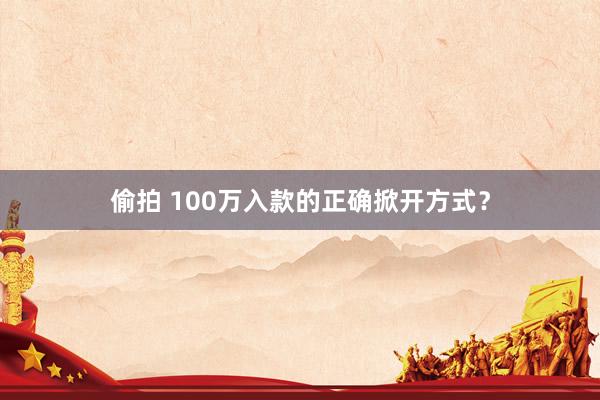 偷拍 100万入款的正确掀开方式？