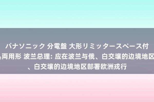 パナソニック 分電盤 大形リミッタースペース付 露出・半埋込両用形 波兰总理: 应在波兰与俄、白交壤的边境地区部署欧洲戎行