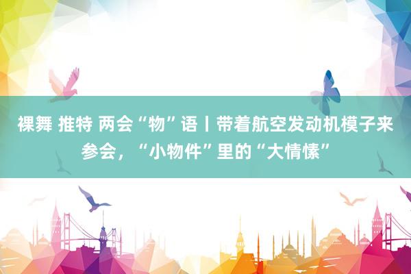 裸舞 推特 两会“物”语丨带着航空发动机模子来参会，“小物件”里的“大情愫”