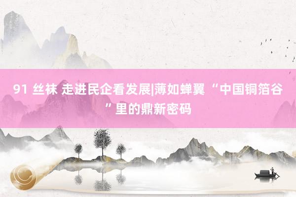 91 丝袜 走进民企看发展|薄如蝉翼 “中国铜箔谷”里的鼎新密码