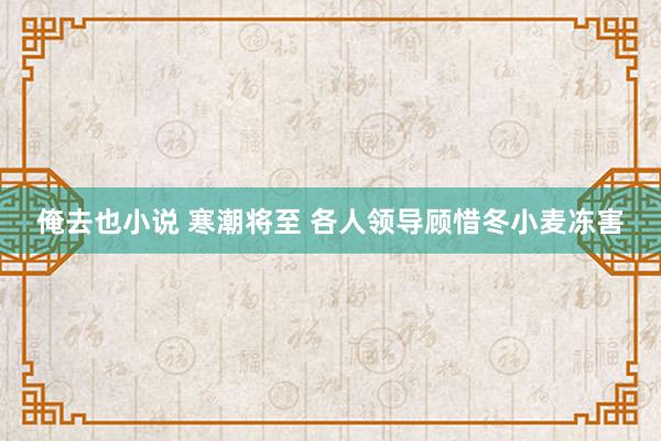 俺去也小说 寒潮将至 各人领导顾惜冬小麦冻害