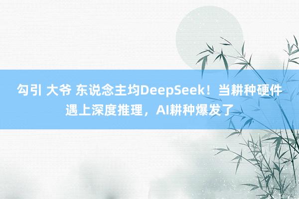 勾引 大爷 东说念主均DeepSeek！当耕种硬件遇上深度推理，AI耕种爆发了