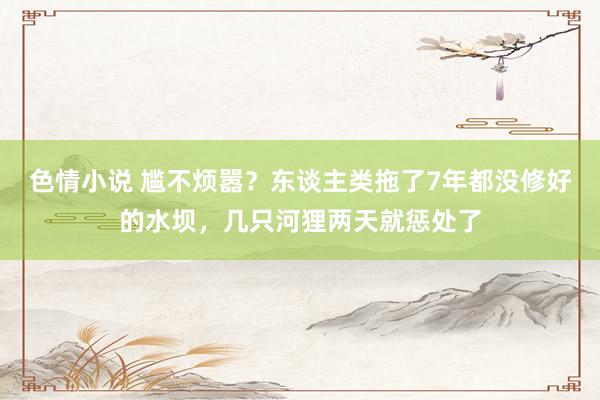 色情小说 尴不烦嚣？东谈主类拖了7年都没修好的水坝，几只河狸两天就惩处了