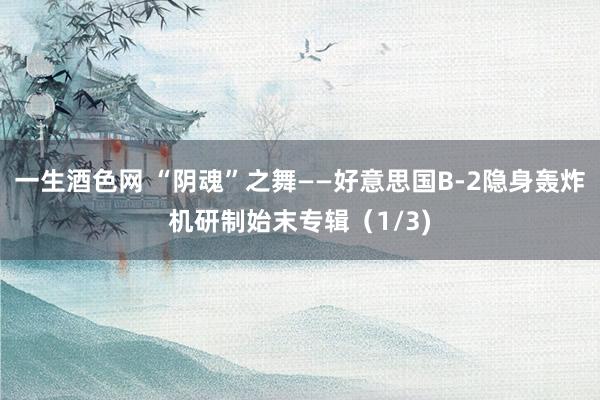 一生酒色网 “阴魂”之舞——好意思国B-2隐身轰炸机研制始末专辑（1/3)