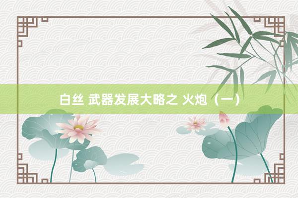 白丝 武器发展大略之 火炮（一）