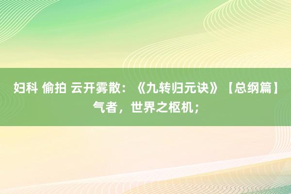 妇科 偷拍 云开雾散:《九转归元诀》【总纲篇】气者,世界之枢机;