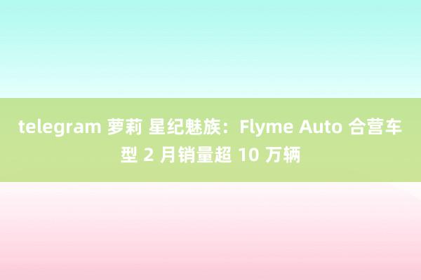 telegram 萝莉 星纪魅族：Flyme Auto 合营车型 2 月销量超 10 万辆