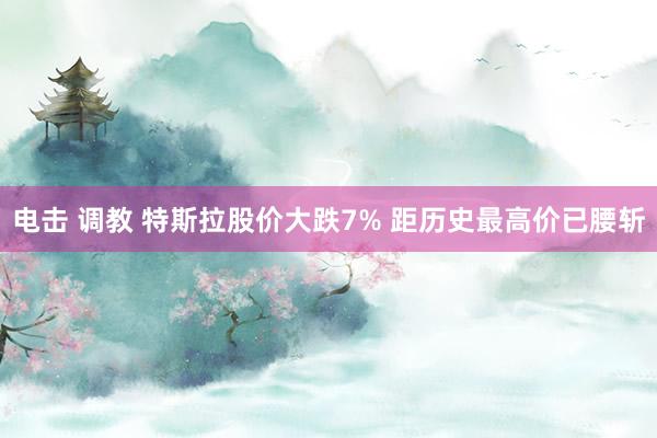 电击 调教 特斯拉股价大跌7% 距历史最高价已腰斩