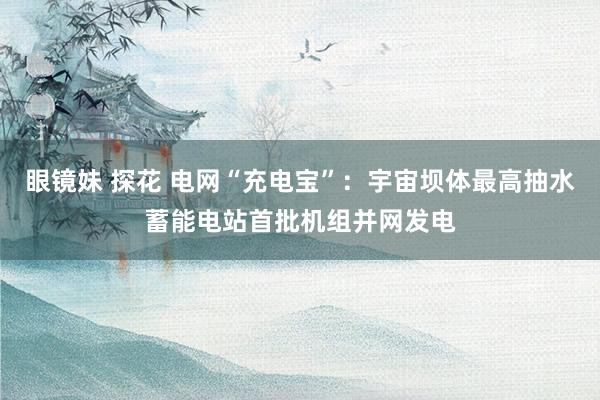眼镜妹 探花 电网“充电宝”：宇宙坝体最高抽水蓄能电站首批机组并网发电