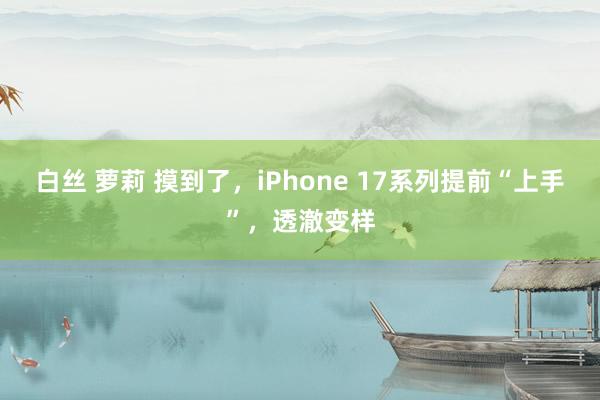 白丝 萝莉 摸到了，iPhone 17系列提前“上手”，透澈变样