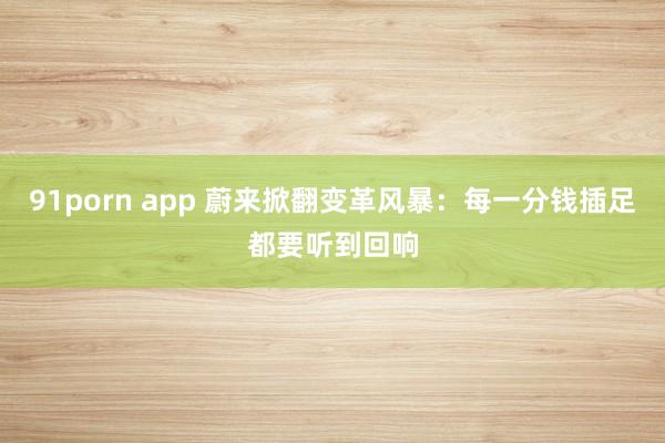 91porn app 蔚来掀翻变革风暴：每一分钱插足都要听到回响