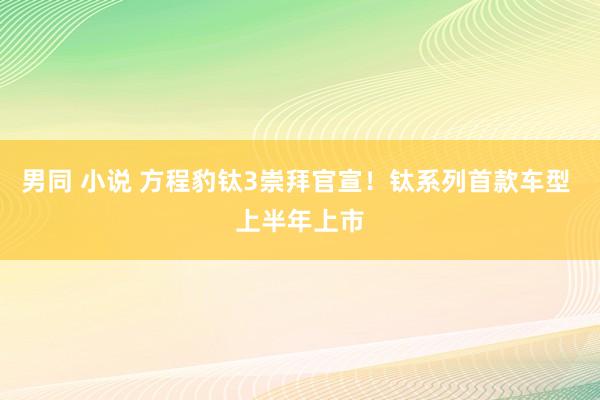 男同 小说 方程豹钛3崇拜官宣！钛系列首款车型 上半年上市